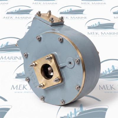 Sea water pump, bare shaft