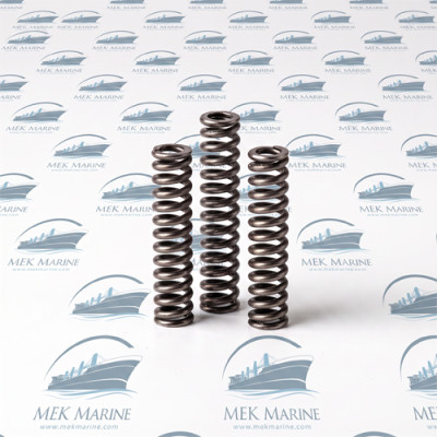 Delivery valve spring, L'Orange