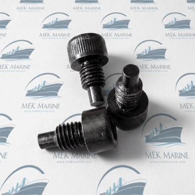 Securing screw