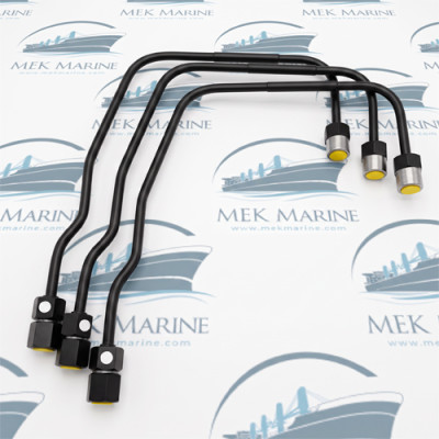 Fuel injection delivery pipe