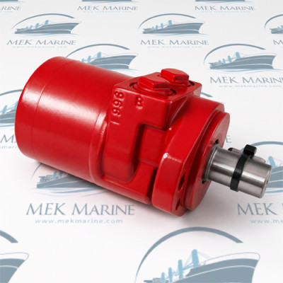 Hydraulic motor TRWMF65