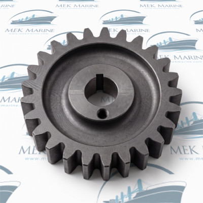 Gear Wheel