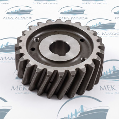 Gear Wheel