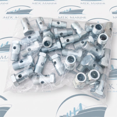 Hollow screw