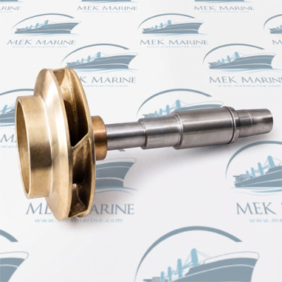 Impeller with shaft