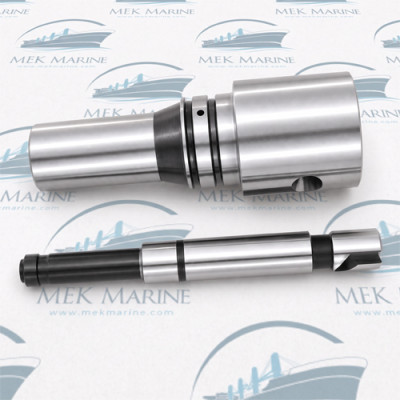 Plunger pair 19mm, Bosch