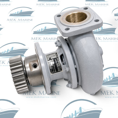 Sea water pump