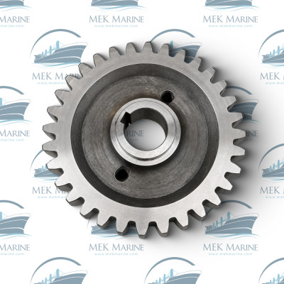 Gear Wheel