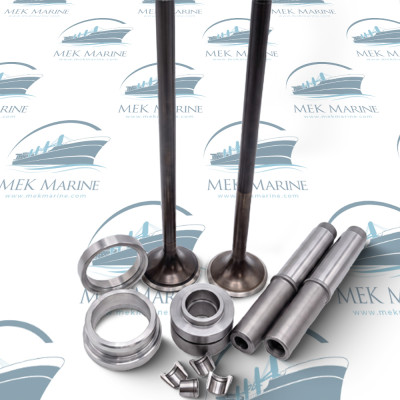 Inlet valve seat insert