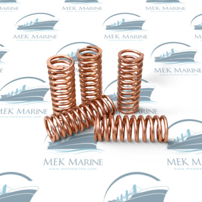 Valve spring