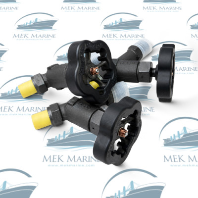 Indicator valve