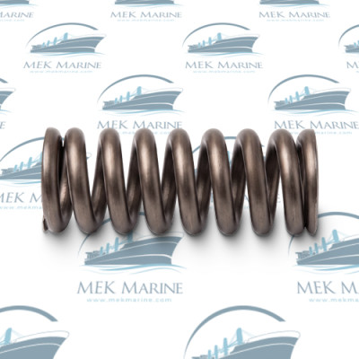 Nozzle spring
