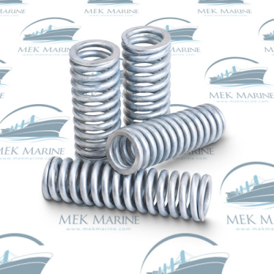 Delivery valve spring