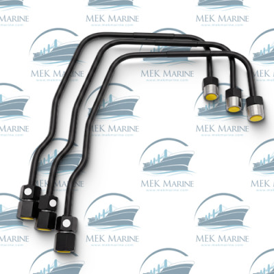 Fuel injection delivery pipe
