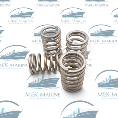 Valve spring