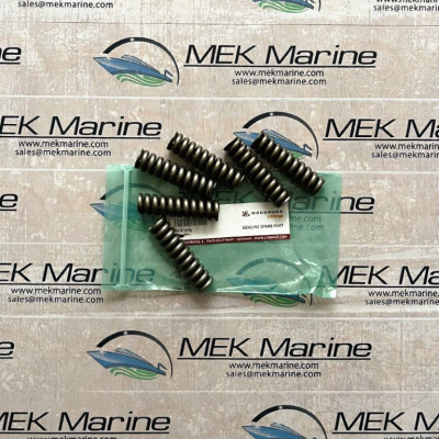 Nozzle spring
