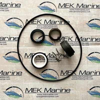 Pump LT overhaul kit