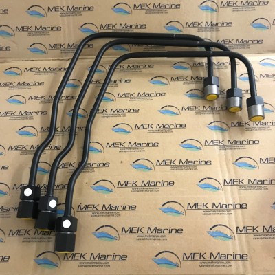 Fuel injection delivery pipe